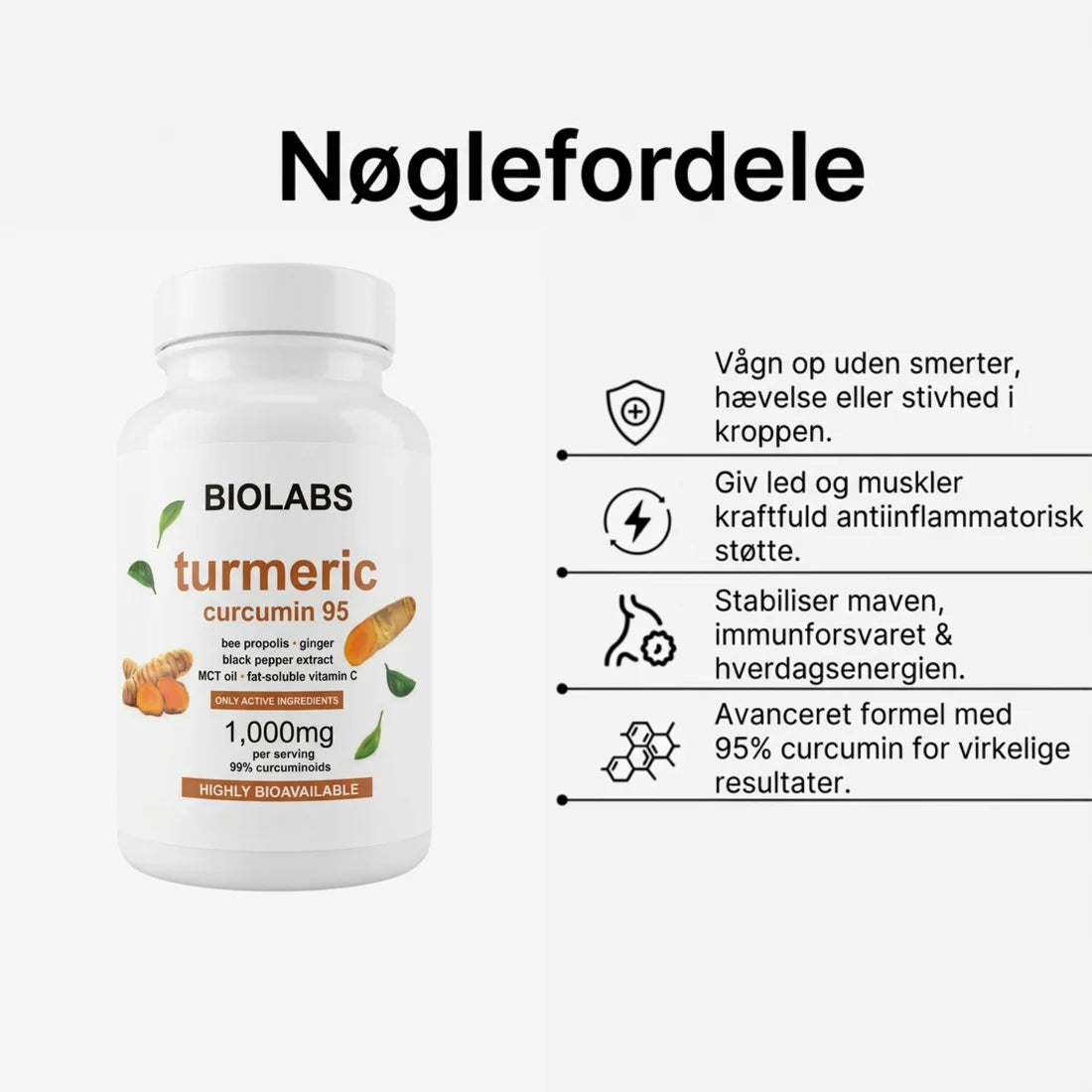 Biolabs - Gurkemeje Curcumin 1000 mg