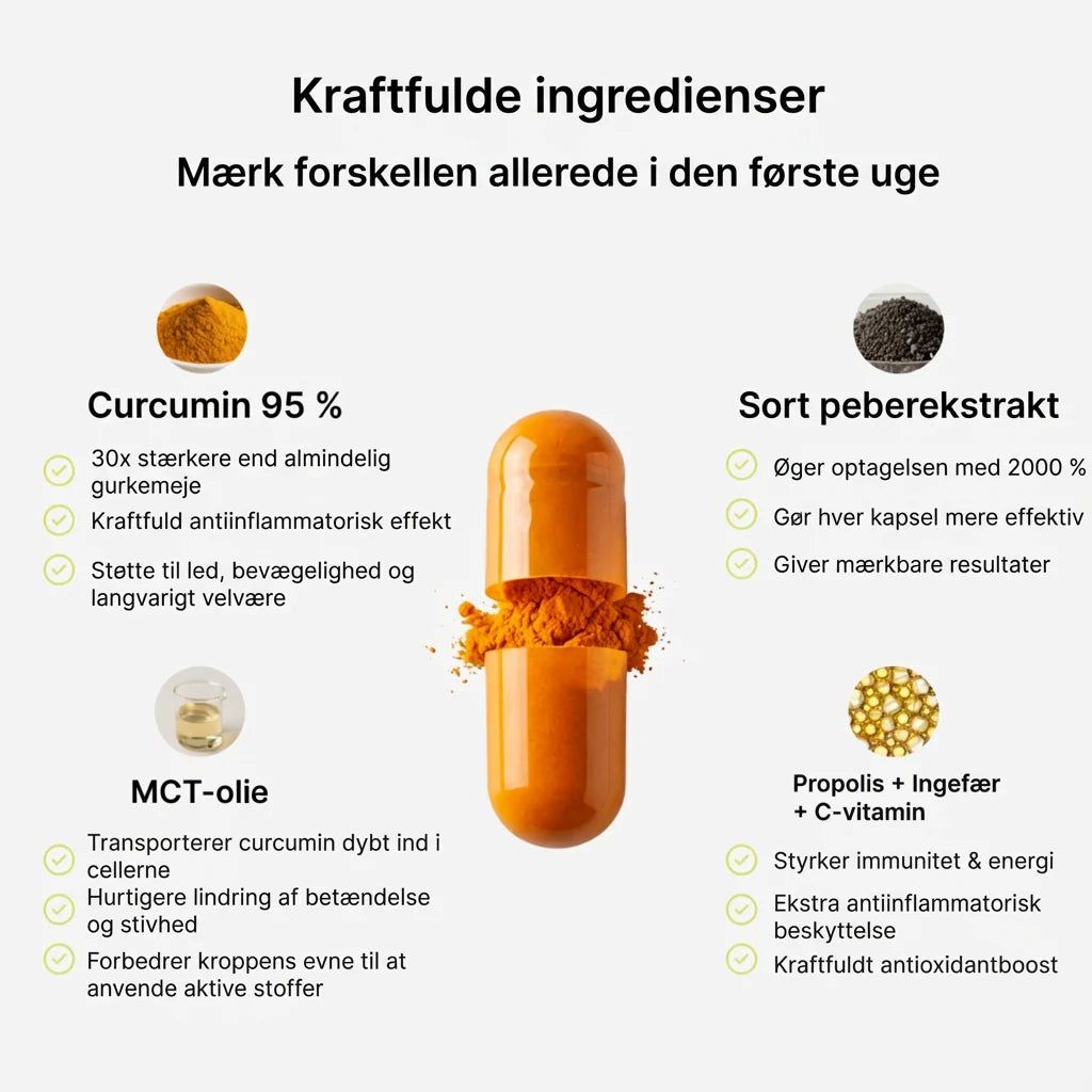Biolabs - Gurkemeje Curcumin 1000 mg