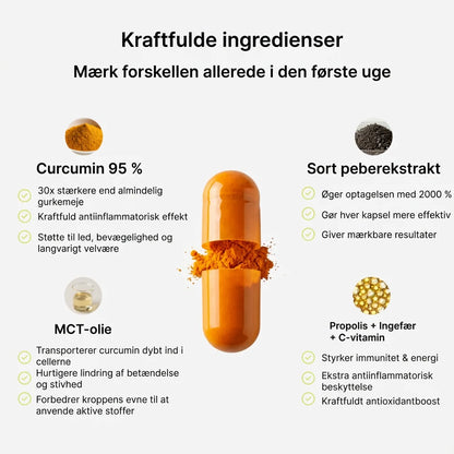 Biolabs - Gurkemeje Curcumin 1000 mg